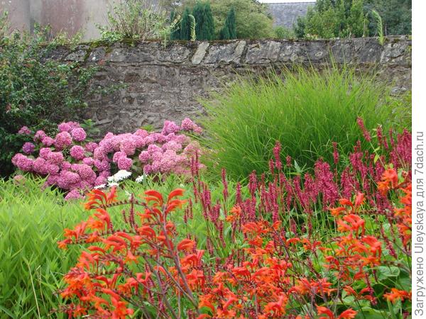 Акцент композиции - несравненная гортензия.