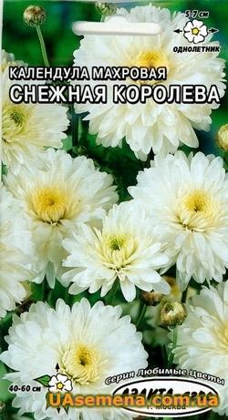Календула и календарь
