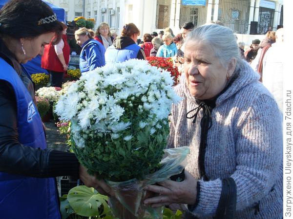 Бал хризантем в Севастополе