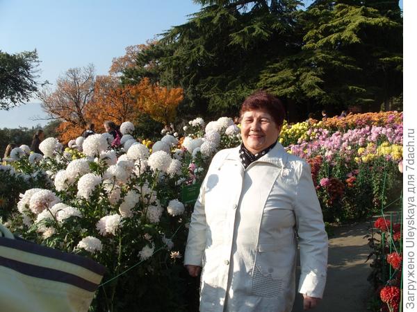 На выставке хризантем, 24 ноября