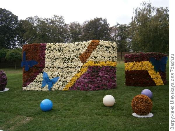 Композиция 6