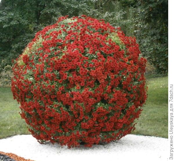 Композиция 9