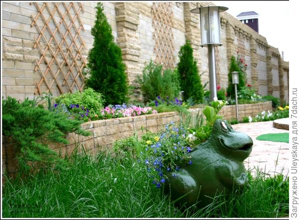 Лягушка в траве