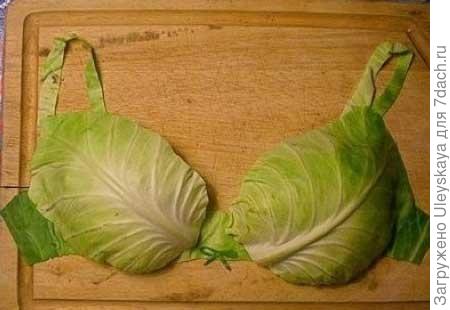 Капустный лист помогает при мастопатии