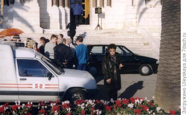 Белые и красные цикламены в январе в открытом грунте - я не верю свои глазам