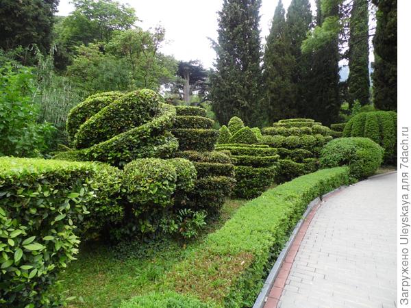Топиарные формы парка