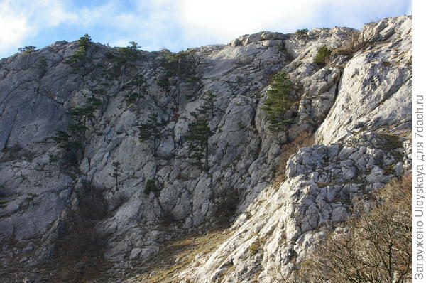 Еще не на плато