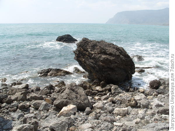 Скала ёжик на берегу Черного моря