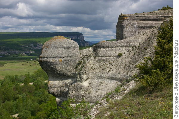 Каменная лапка Крокодила