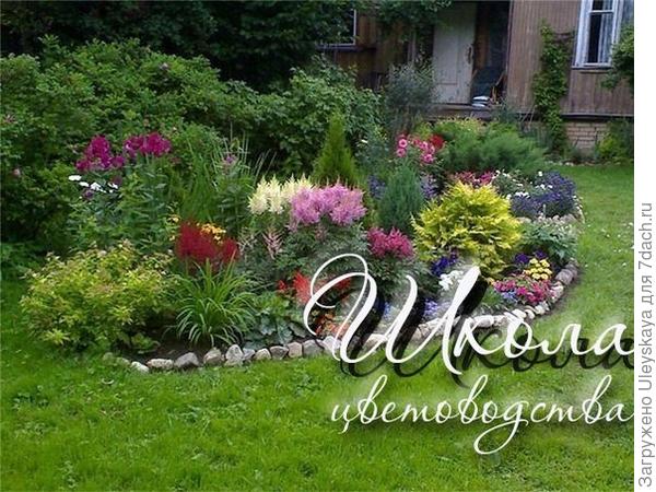 Миксбордер с молинией голубой, фото с сайта ok-rostov.ru