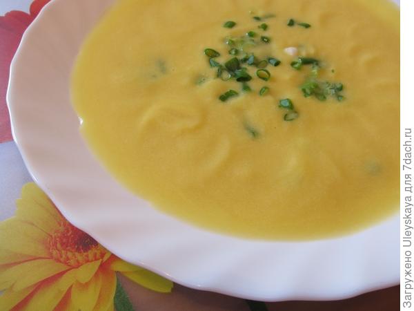 Зеленый лук для улучшения вкуса первых блюд, фото сайта smachnayestci.blogspot.com