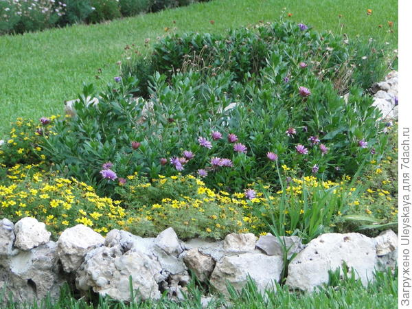 Простая клумба