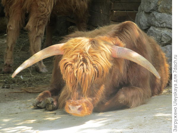 В жаркий июльский день