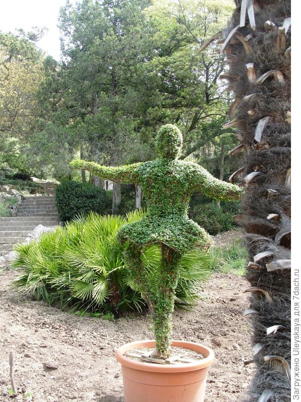 Зеленая балерина