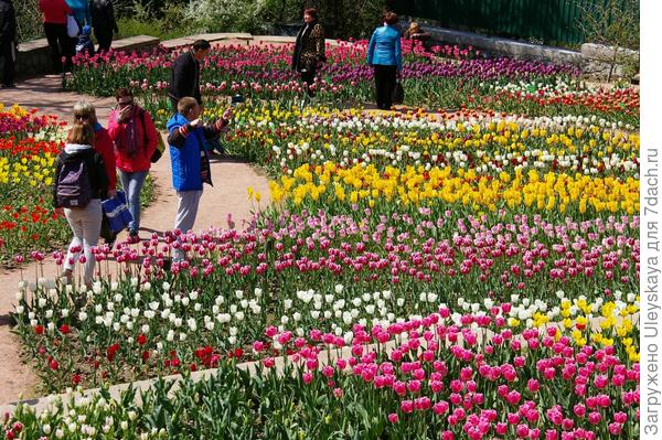 Кажется, что оно бесконечно