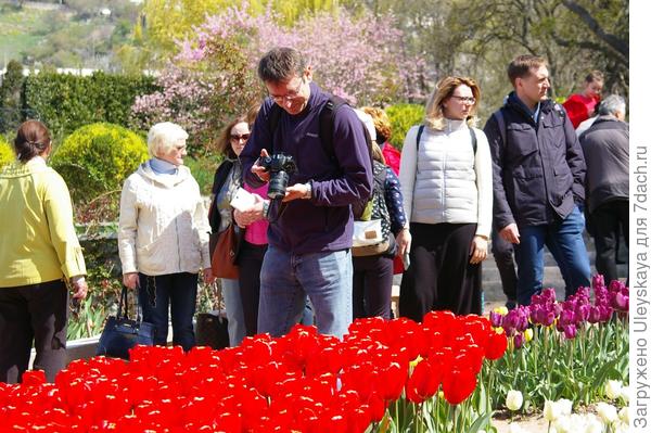 Фотографируют, любуются, равнодушных нет