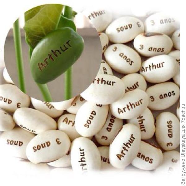 фото из недр интернета