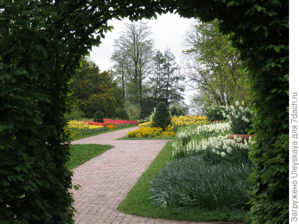 Взгляд через арку