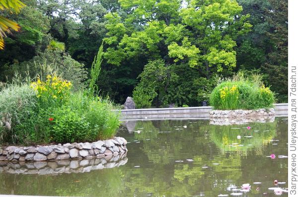 Большой водоем Монтедора
