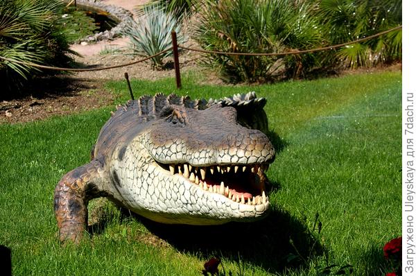 Динозавр 1 из Приморского парка