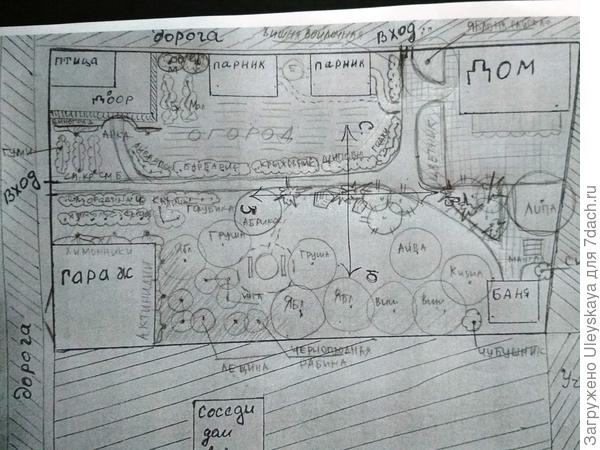 Скетч участка 12 соток