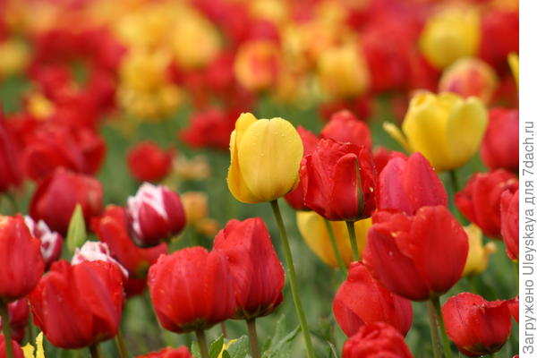 фото 2