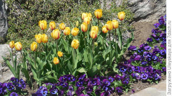 фото 9