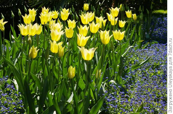 фото 3