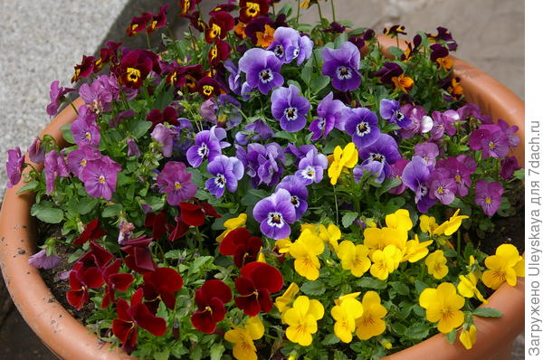 фото 6