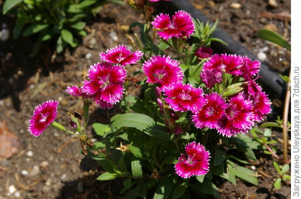 фото 8