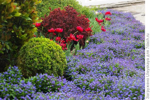 фото 10 Композиция в полном объеме