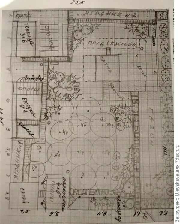 Скетч участка Анны из Каширы