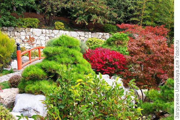 Краски осени в японском саду