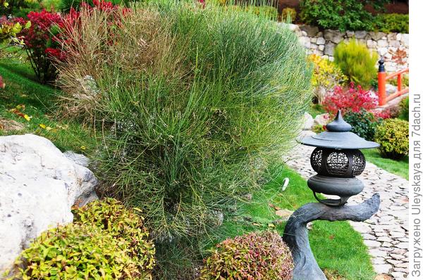 Октябрь в японском саду