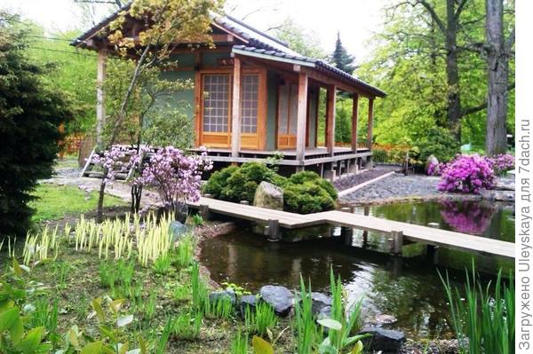 В японском саду БИНа