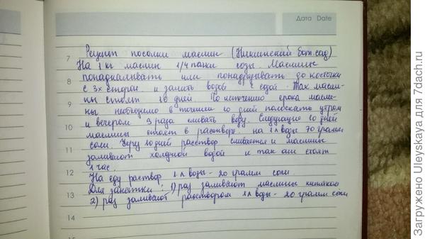 Какие плоды маслины европейской лучше для засолки - зеленые или черные? ответы экспертов () Какие плоды маслины европейской лучше для засолки - зеленые или черные? ответы экспертов