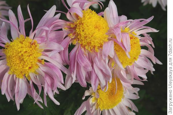 фото 3