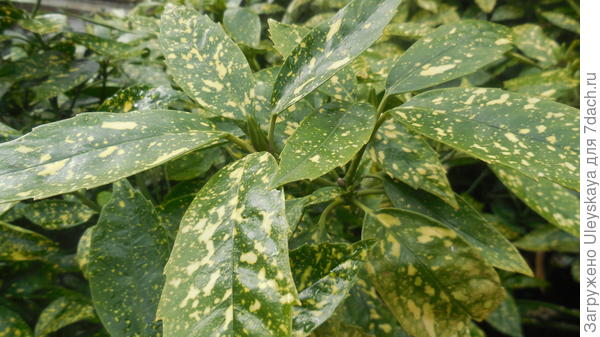 фото 4