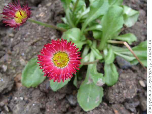 фото 4