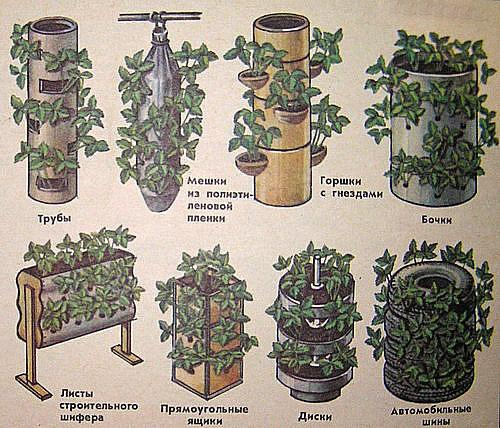 Вертикальные клумбы рисунок