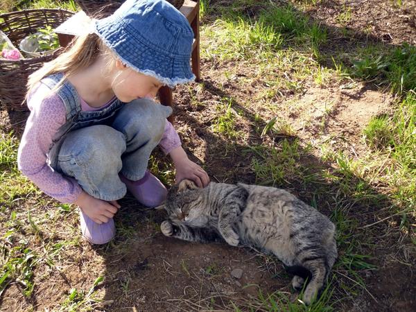 Аленка гладит кота