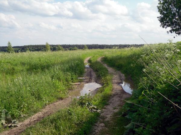 Поворот дороги