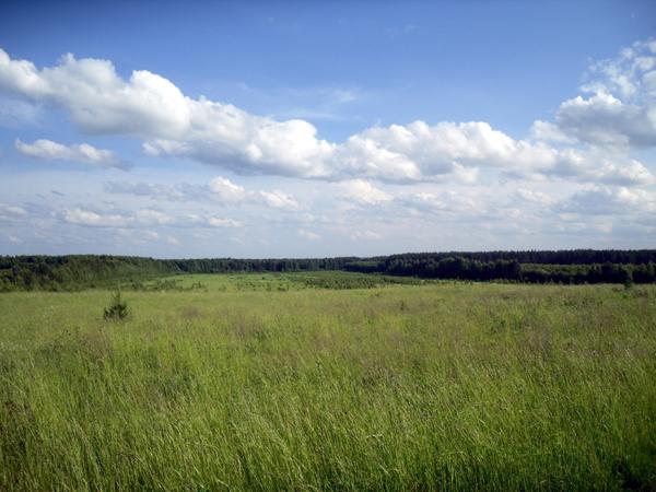 Простор полей