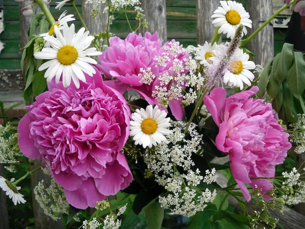 Букет с пионами