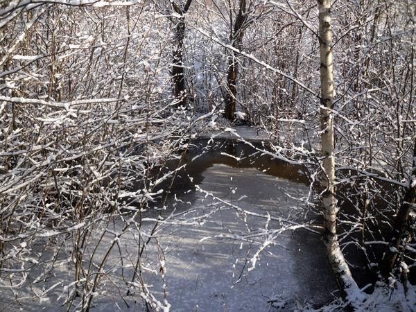 Вода первым льдом покрывается