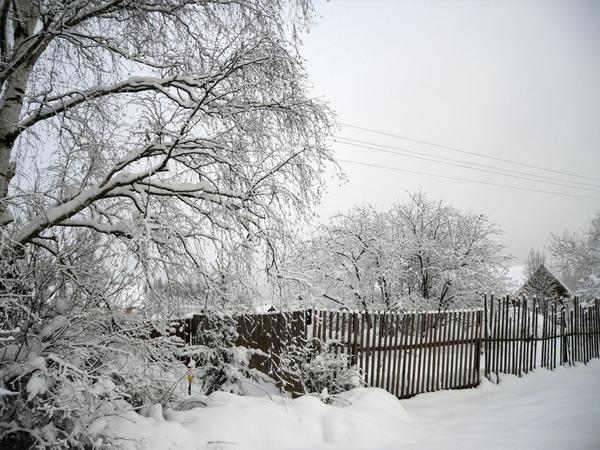Заснеженная деревня