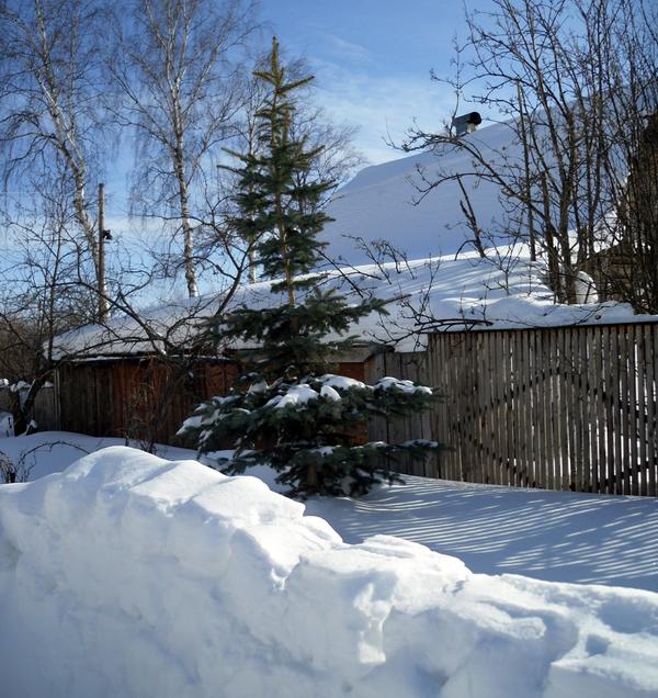 Елка