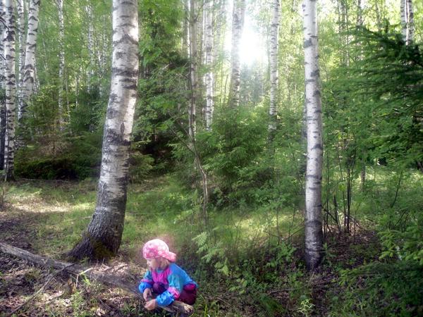 В соседнем лесу полно грибов и ягод
