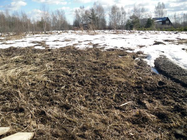 Место для парника - на солнышке, но заросшее бурьяном