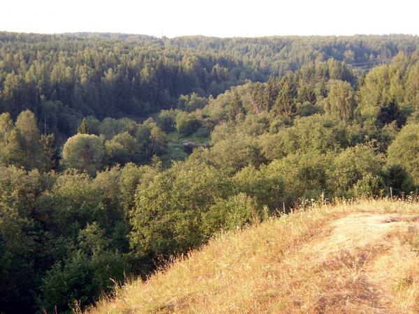 Вид с холма на среднерусские просторы